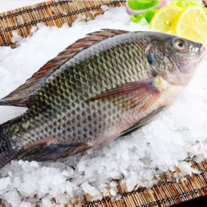 Ikan Nila Segar